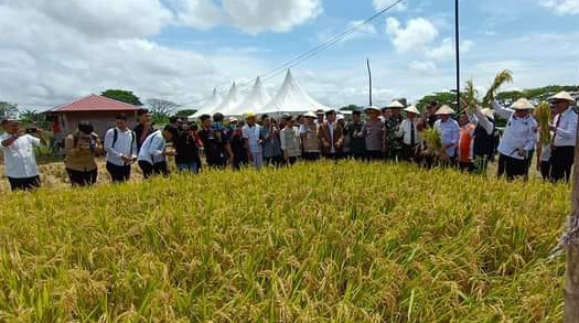 Lazis Muhammadiyah Bersama MPM Dampingi Petani Wajo Untuk Bangkit CirebonMU