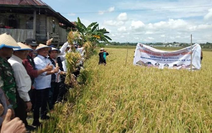 Lazis-Muhammadiyah-Dampingi-Petani-Wajo-Untuk-Bangkit-04