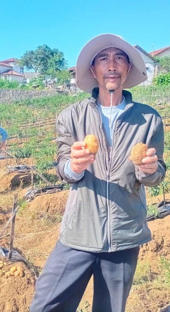 Sayur Sehat Muhammadiyah Jadi Harapan Petani Perbaiki Ekonomi CirebonMU